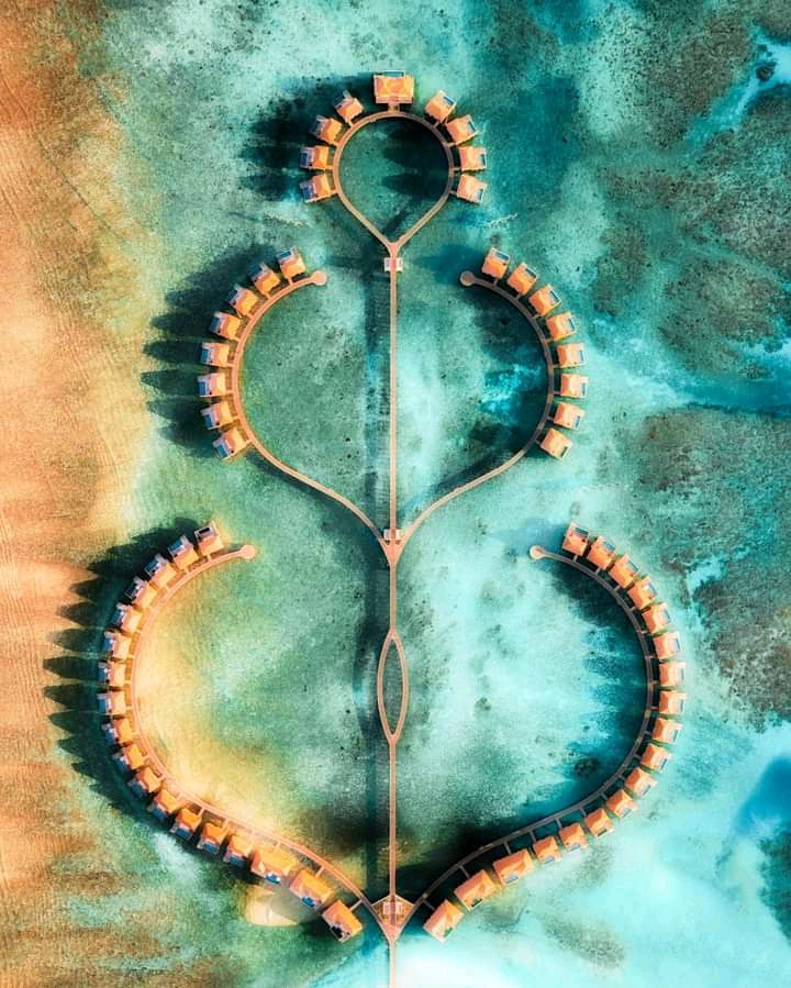 fb img 16474456782369569