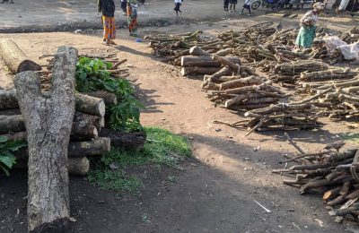 Nord-Kivu : Le Parc des Virunga sauve plusieurs victimes d&rsquo;agression rwandaise [ Intégralité ]