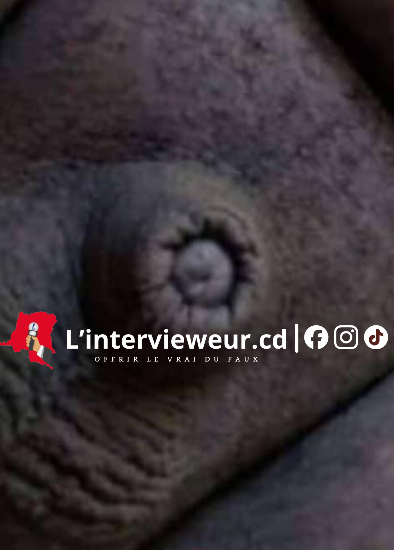 inshot 20260311 082156127