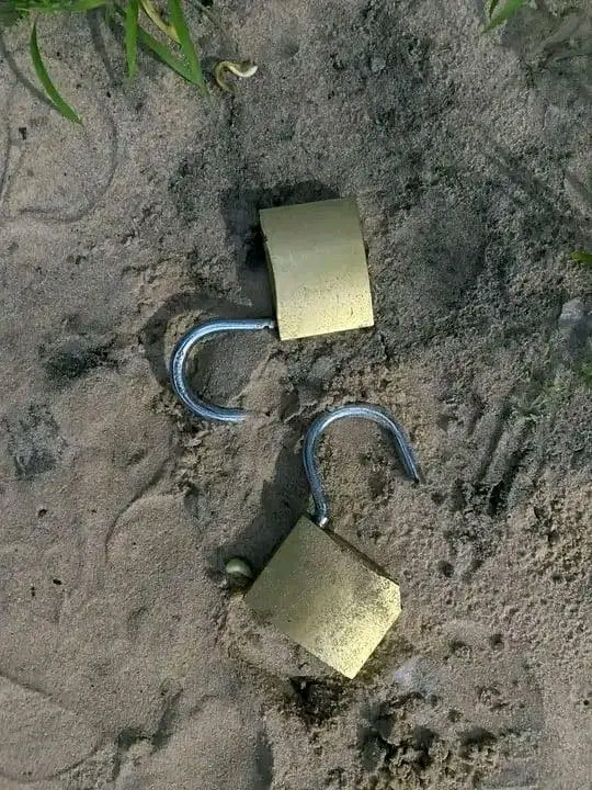 1777650612799
